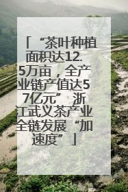 “茶叶种植面积达12.5万亩，全产业链产值达57亿元” 浙江武义茶产业全链发展“加速度”