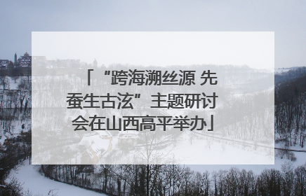 “跨海溯丝源 先蚕生古泫”主题研讨会在山西高平举办