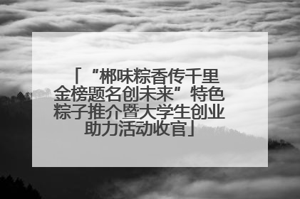 “郴味粽香传千里 金榜题名创未来”特色粽子推介暨大学生创业助力活动收官