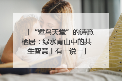 “鹭鸟天堂”的诗意栖居：绿水青山中的共生智慧丨有一说一