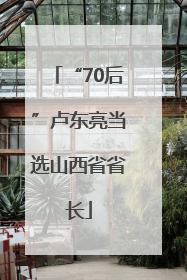 “70后”卢东亮当选山西省省长