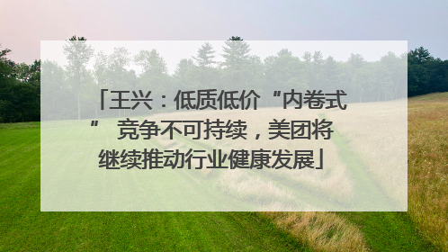 王兴：低质低价“内卷式” 竞争不可持续，美团将继续推动行业健康发展