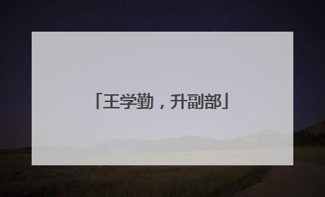 王学勤，升副部