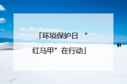 环境保护日 “红马甲”在行动