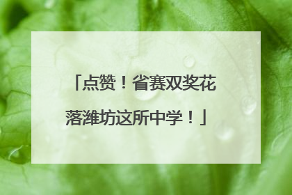 点赞！省赛双奖花落潍坊这所中学！