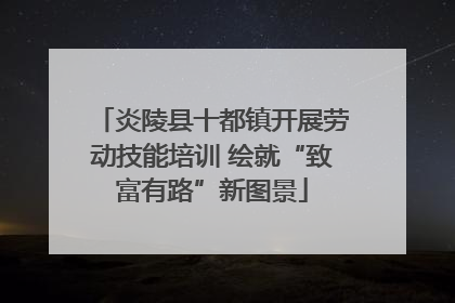 炎陵县十都镇开展劳动技能培训 绘就“致富有路”新图景