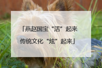 燕赵国宝“活”起来 传统文化“炫”起来