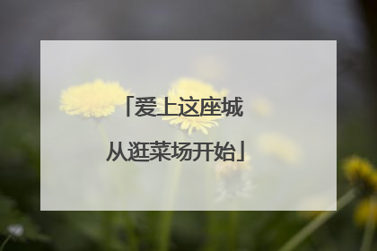 爱上这座城 从逛菜场开始