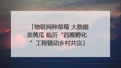 物联网种草莓 大数据卖黄瓜 临沂“四雁孵化”工程链动乡村共富