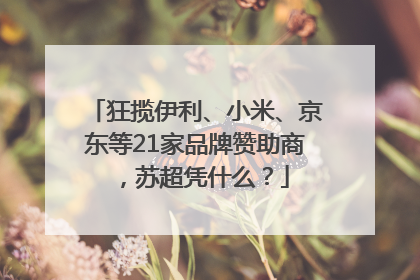 狂揽伊利、小米、京东等21家品牌赞助商，苏超凭什么？