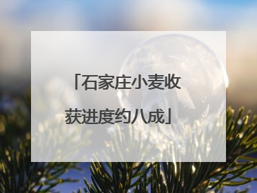 石家庄小麦收获进度约八成