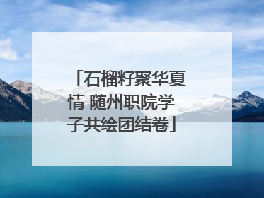 石榴籽聚华夏情 随州职院学子共绘团结卷