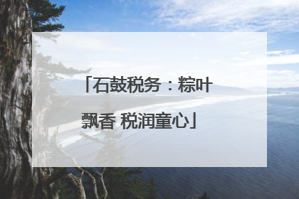 石鼓税务：粽叶飘香 税润童心