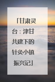 甘肃灵台：津甘共建下的针灸小镇振兴记