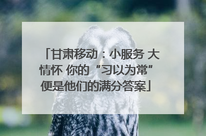 甘肃移动：小服务 大情怀 你的“习以为常”便是他们的满分答案