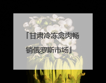 甘肃冷冻禽肉畅销俄罗斯市场