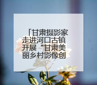 甘肃摄影家走进河口古镇开展“甘肃美丽乡村影像创作计划”系列活动调研