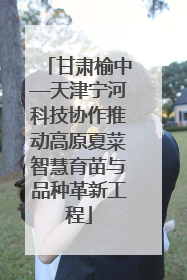 甘肃榆中—天津宁河科技协作推动高原夏菜智慧育苗与品种革新工程