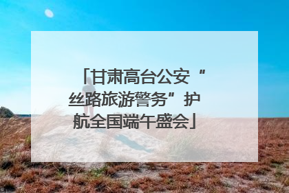 甘肃高台公安“丝路旅游警务”护航全国端午盛会