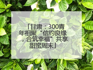 甘肃：300青年相聚“信约良缘，合筑幸福”共享甜蜜周末