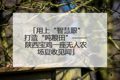 用上“智慧眼” 打造“吨粮田”——陕西宝鸡一座无人农场夏收见闻