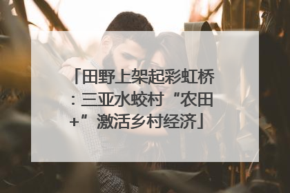 田野上架起彩虹桥：三亚水蛟村“农田+”激活乡村经济