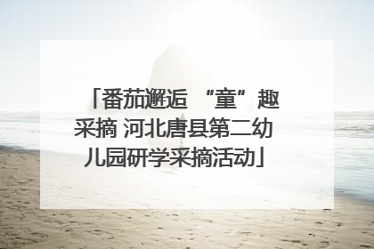 番茄邂逅 “童”趣采摘 河北唐县第二幼儿园研学采摘活动
