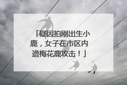 疑因拍刚出生小鹿，女子在市区内遭梅花鹿攻击！