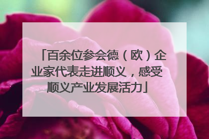 百余位参会德（欧）企业家代表走进顺义，感受顺义产业发展活力