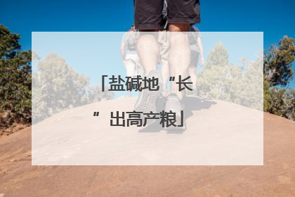 盐碱地“长”出高产粮