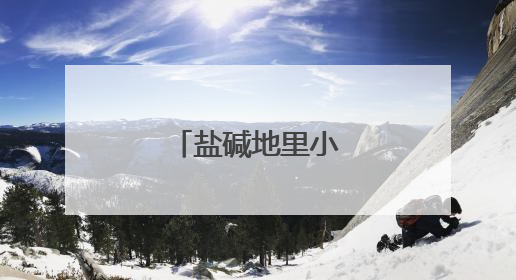 盐碱地里小麦收割忙