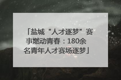 盐城“人才逐梦”赛事燃动青春：180余名青年人才赛场逐梦