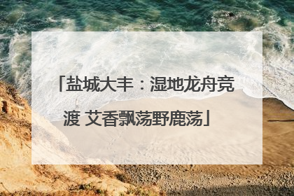 盐城大丰：湿地龙舟竞渡 艾香飘荡野鹿荡
