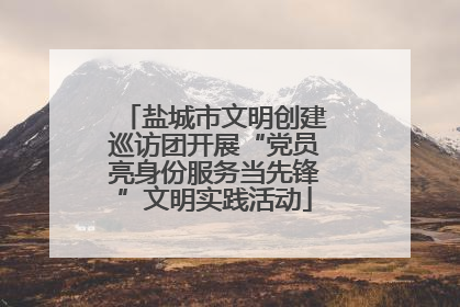 盐城市文明创建巡访团开展“党员亮身份服务当先锋”文明实践活动