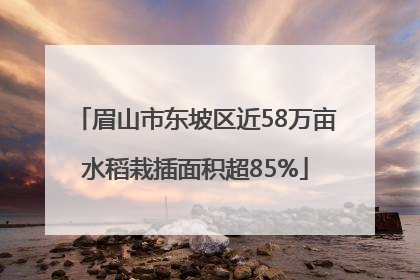 眉山市东坡区近58万亩水稻栽插面积超85%