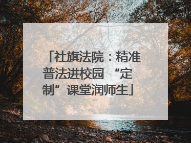 社旗法院：精准普法进校园 “定制”课堂润师生