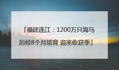 福建连江：1200万只海马历经8个月培育 迎来收获季