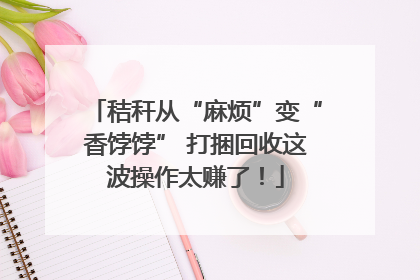秸秆从“麻烦”变“香饽饽” 打捆回收这波操作太赚了！