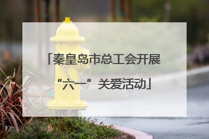秦皇岛市总工会开展“六一”关爱活动
