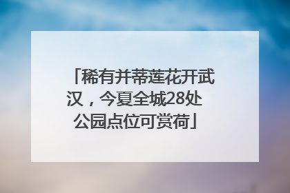 稀有并蒂莲花开武汉，今夏全城28处公园点位可赏荷