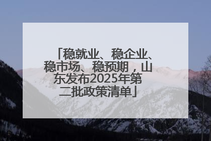 稳就业、稳企业、稳市场、稳预期，山东发布2025年第二批政策清单