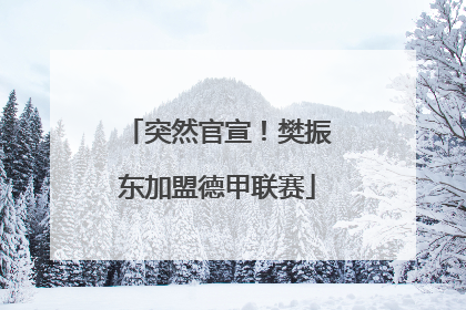 突然官宣！樊振东加盟德甲联赛