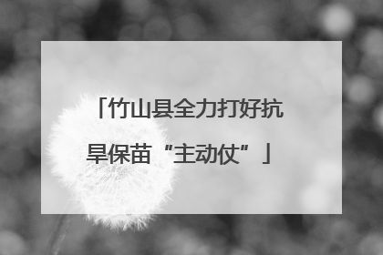 竹山县全力打好抗旱保苗“主动仗”