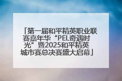 第一届和平精英职业联赛嘉年华“PEL奇遇时光”暨2025和平精英城市赛总决赛盛大启幕