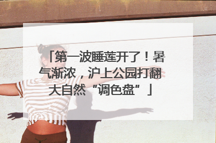 第一波睡莲开了！暑气渐浓，沪上公园打翻大自然“调色盘”