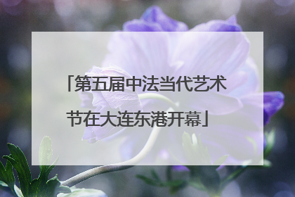 第五届中法当代艺术节在大连东港开幕