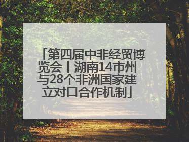 第四届中非经贸博览会丨湖南14市州与28个非洲国家建立对口合作机制