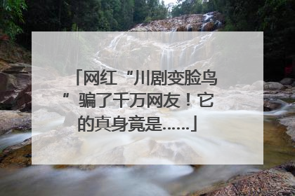 网红“川剧变脸鸟”骗了千万网友！它的真身竟是……