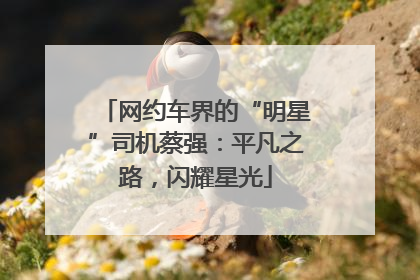 网约车界的“明星”司机蔡强：平凡之路，闪耀星光