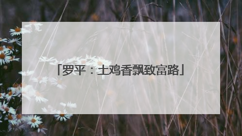 罗平：土鸡香飘致富路